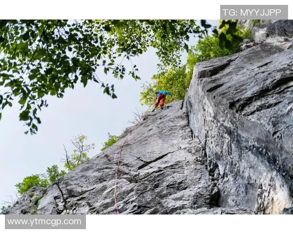 重庆攀岩队的耐力革命探讨与热议攀岩运动的未来发展方向